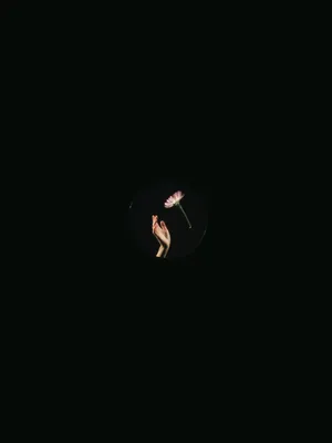 Best Amoled 1000 X 1333 Wallpaper