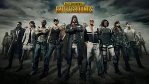 Best Hd Aesthetic Pubg Characters Wallpaper