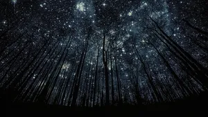 Best Starry Night View Wallpaper