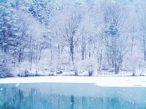 Best Winter Iphone Theme Wallpaper