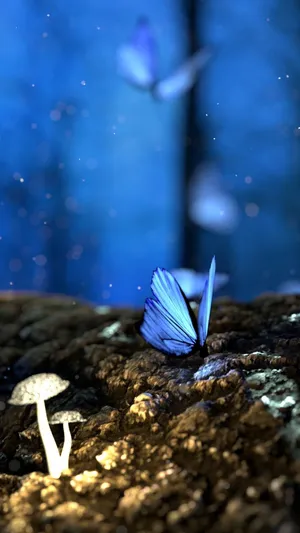 Bewitching Butterfly Iphone Theme Display Wallpaper