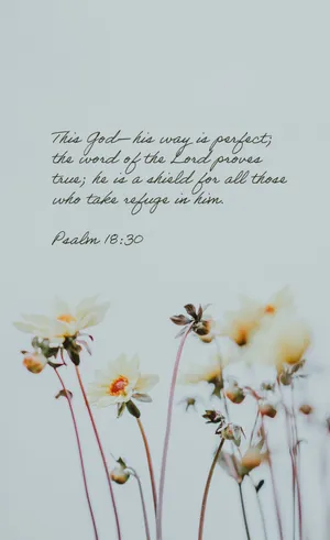 Bible Verse: Trust In The Lord With All Thine Heart Wallpaper