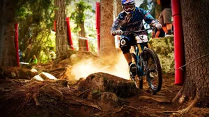 Bicyclist, Cross, Downhill, Irregularities Wallpaper