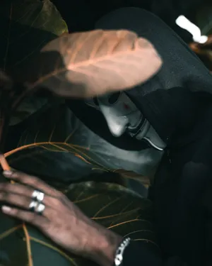 Big-leaved Plants Anonymous Wallpaper