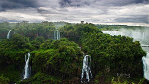 Bing Green Forest Waterfalls Wallpaper