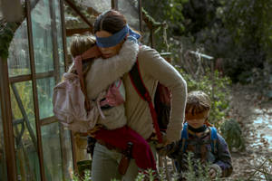 Bird Box Sandra Bullock Blindfolded Wallpaper