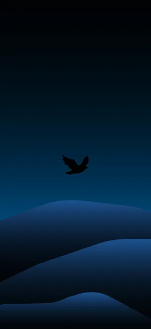 Bird Flying Minimal Dark Iphone Wallpaper