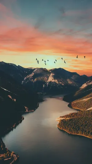 Bird Silhouette On Mountains Sunset Wallpaper