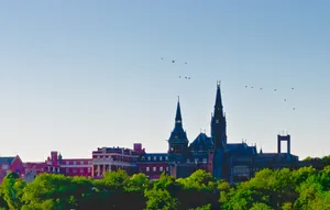 Birds Above Georgetown University Wallpaper