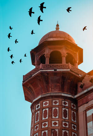 Birds Flying Above A Historical Tower Wallpaper