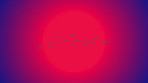 Birds Flying Against The Sun Minimalist Aesthetic Laptop Wallpaper