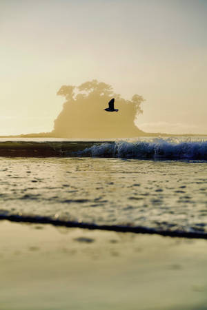 Birds Flying Over The Shore Nature Wallpaper