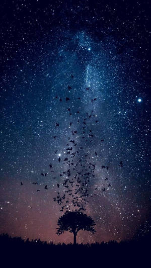 Birds Tree Silhouette Galaxy Iphone Wallpaper