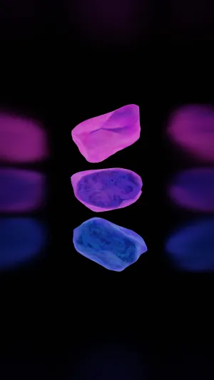 Bisexual Rocks Wallpaper