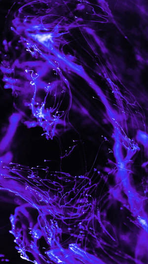 Black And Purple Aesthetic Abstract Web Wallpaper