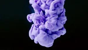 Black And Purple Plume Wallpaper