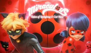 Black And Red Dots Ladybug And Cat Noir Wallpaper
