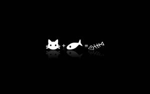 Black And White Aesthetic Cat Fish Equation Wallpaper