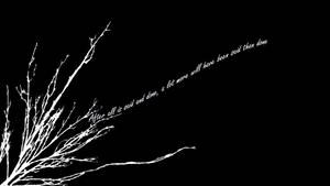 Black And White Aesthetic Sprawling Branches Wallpaper