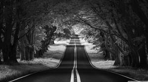 Black And White Aesthetic Symmetrical Road Wallpaper