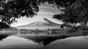 Black And White Art Lake Wallpaper