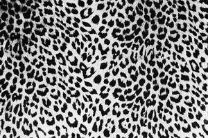 Black And White Leopard Print Wallpaper