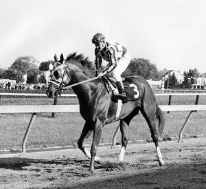 Black And White Number Three Secretariat Wallpaper