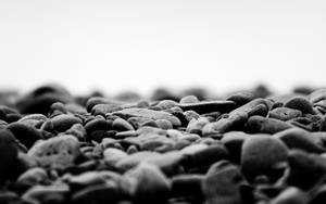 Black And White Pebbles Wallpaper