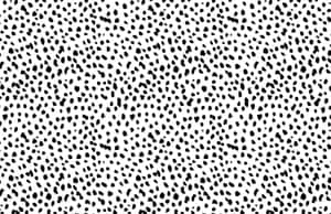 Black And White Polka Dot Pattern Wallpaper