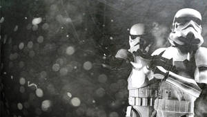 Black And White Stormtroopers Wallpaper