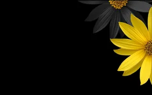 Black And Yellow Floral Backgrounds Wallpaper