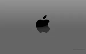 Black Apple Logo In Plain Gray Wallpaper