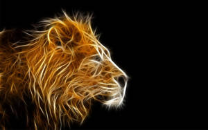 Black Background On 3d Lion Screen Wallpaper