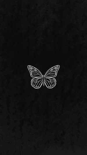 Black Butterfly In Dark Backdrop Wallpaper