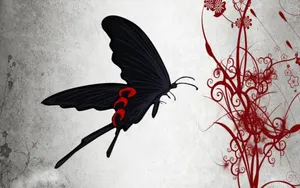 Black Butterfly Red Spots On Back Wallpaper