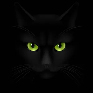 Black Cat With Green Eyes Digital Art Wallpaper