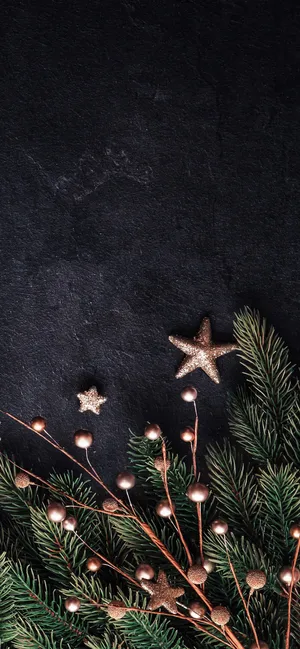 Black Christmas Stars Wallpaper