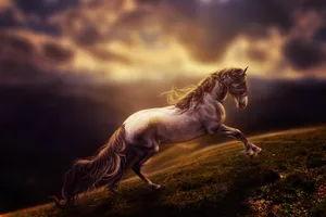 Black Haired Running Horse Wallpaper