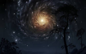 Black Hole Forrest Night Sky Wallpaper