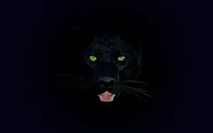 Black Jaguar Prowling Against A Backdrop Of Lush Green Foliage Wallpaper