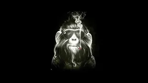 Black Monkey With Glasses Wallpaper