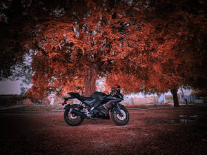 Black R15 V3 Red Tree Wallpaper