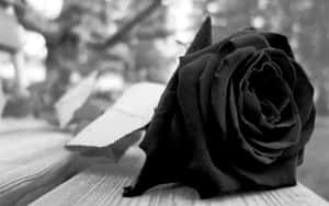 Black Rose On Table Aesthetic Wallpaper