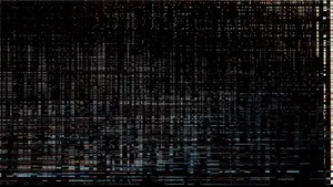 Black Screen Glitch Wallpaper