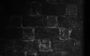 Black Shadows On Vintage White Brick Wall Wallpaper