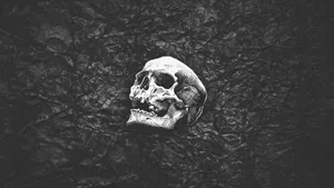 Black Skull Plain Wallpaper