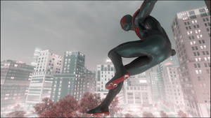 Black Spiderman In Nyc Wallpaper