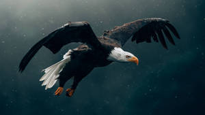 Black Us Eagle Wallpaper