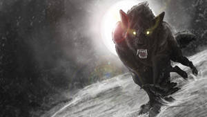 Black Werewolf In Snow Wallpaper
