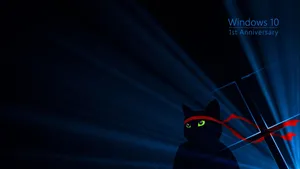 Black Windows 10 Hd Black Cat Wallpaper